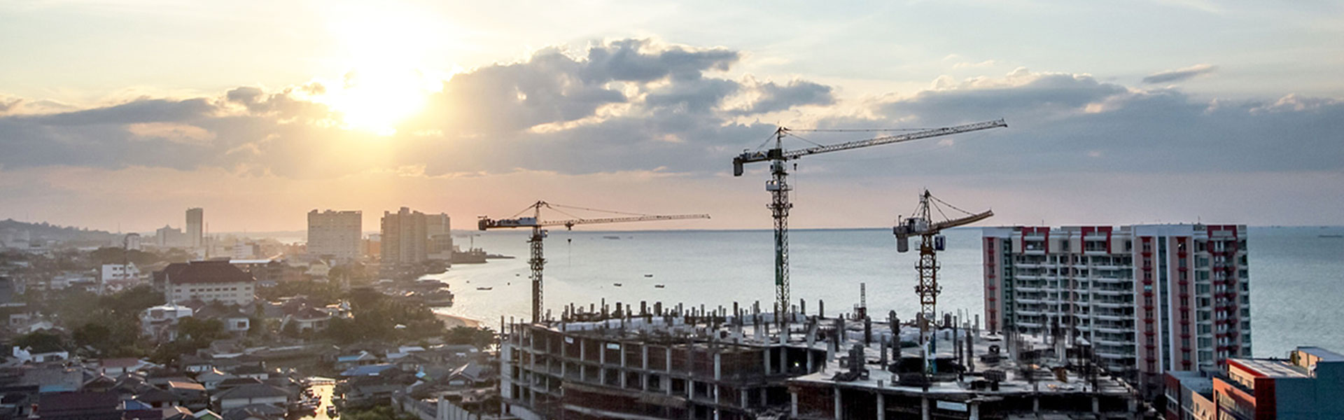 熊猫育官方网站仪器