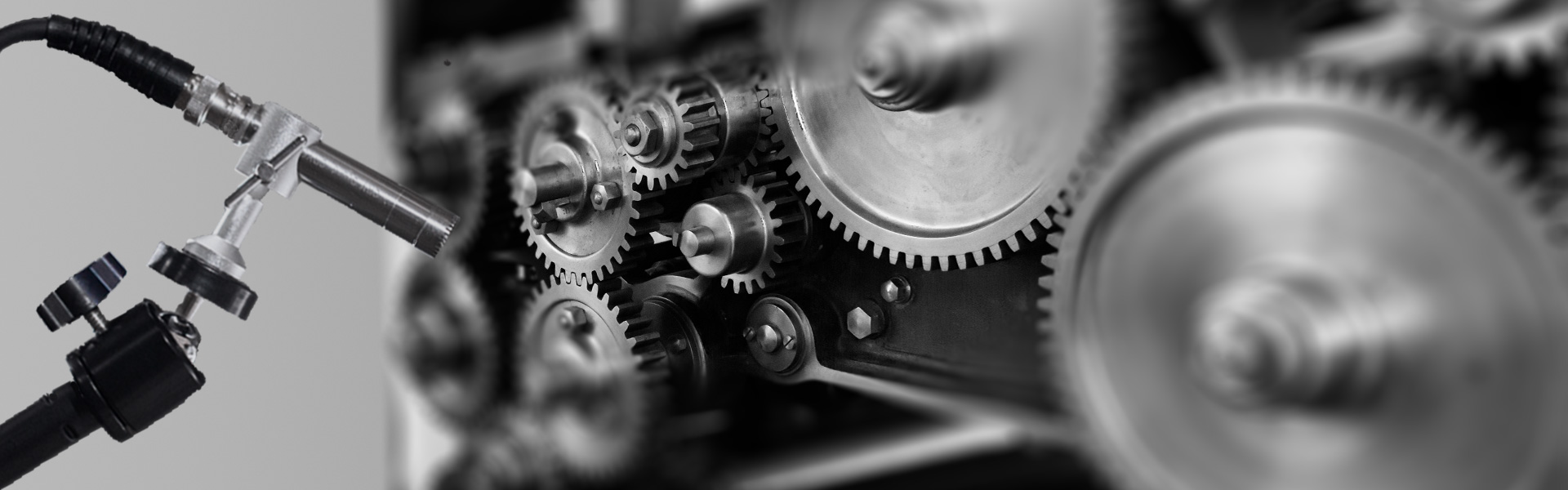 熊猫育官方网站仪器