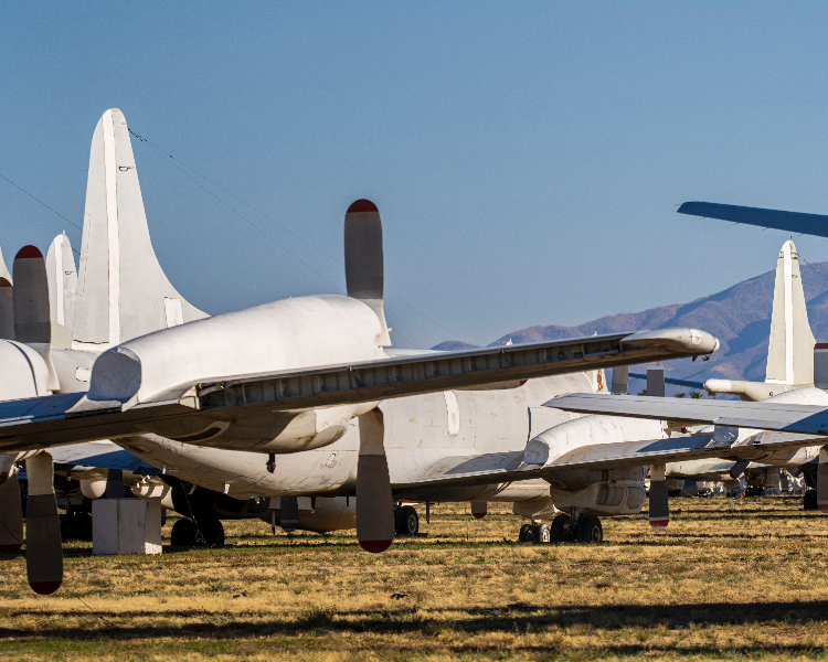 熊猫育官方网站仪器